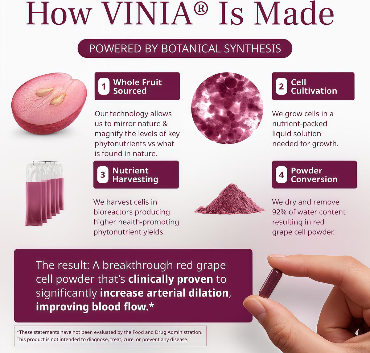 VINIA Blood Flow | Piceid Resveratrol Capsules | Vegan, Non-GMO, 30 Count
